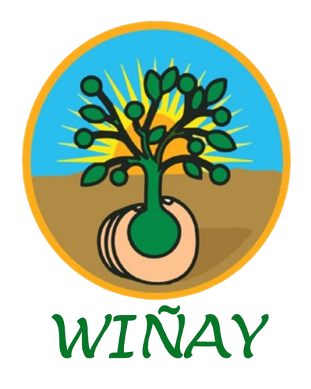 Logo WIÑAY